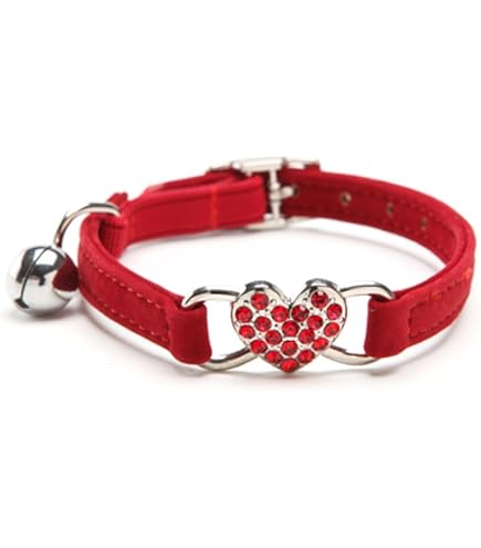 Naughty Nice Weihnachts Katzenhalsband Mit Glocke – Verstellbar, Sicher Mit Abreißbarem Clip, Waschbar