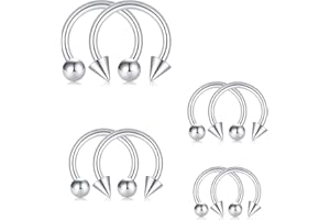 Rajnard Anello del Naso Piercing e Sostituzione Palla Argento Nero 16G Acciaio Chirurgico Ferro di Cavallo Setto Labbro Elice Cartilagine Tragus Daith Orecchini 6 8 10 12mm per Donne e Uomini