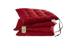 Lavea® Cuscini per Sedia 40x40 cm – Set 4 pz con laccetti – Interni/Esterni – Comodi e Lavabili, per Giardino, Cucina, Balcone e Terrazza - Bordeaux