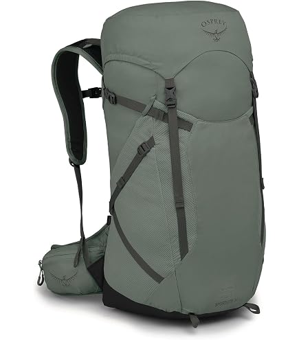 Osprey DAYLITE - Sac à dos - deep peyto green tunnel vision/bleu