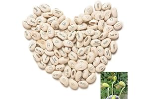 JEYEFFE J & J Pack de 100 graines haricots magiques idée cadeau magie récurrence événement de curiosité idée cadeau maison bingo noël