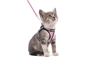 rabbitgoo Pettorina Gatto Antifuga, Guinzaglio Gatti Regolabile, Imbracatura Ultra-Leggero Morbido Riflettente per Cucciolo, Gattini e Gatto Piccolo, Pettorina per Passeggio e Corsa, S, Rosa