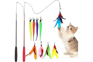 Delieu Interactive Cat Toys, Retractable Wand and Feather Toys Refills for Indoor Cats to Chase and Exercise