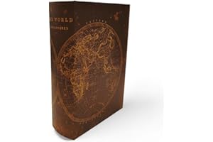 FTWDesign Große Aufbewahrungsbox Bücherbox aus Papier in Braun/Gold