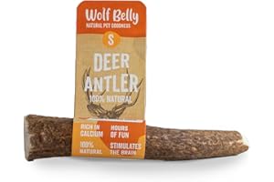 WOLF BELLY NATURAL PET GOODNESS Wolf Belly - Bois de Cerf pour Chien 100% Naturel (Taille S) Jouet à Mâcher Durable | Hygiène Dentaire | sans Odeur, Riche en Calcium | Calme Stress et Anxiété - Origine Europe