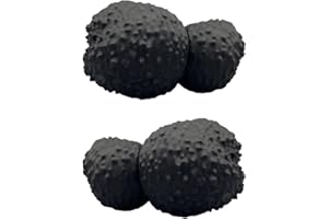 REPAIRCOFFEE 2 Répliques de Truffe en Plastique pour Races Taille Moyenne à Grande - Kit Dressage Chien Truffier Compatible Huiles Essentielles Entraînement Efficace Cavage Jeu