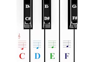 QMG Pegatinas de colores para piano y teclado para niños y principiantes, pegatinas transparentes y extraíbles para cualquier teclado de 49, 54, 61, 76 u 88 teclas