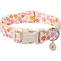 ARING PET Hundehalsband Halloween Mit Abnehmbarer Blume – Kariert, Mehrfarbig, Größe S, Baumwolle, Metallschnalle