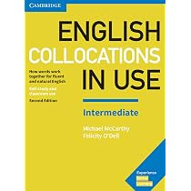 ENGLISH IDIOMS IN USE INTERMEDIATE BK : McCarthy, Michael, O'Dell
