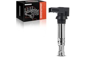 ‎FRANKBERG Frankberg 1x Zündspule Zündmodul Kompatibel mit A1 A2 A3 Golf IV V VI III Polo Toledo Fabia Superb II Replace# 036905715