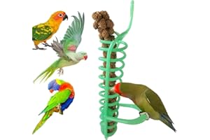 ZYYRSS Parrots Food Basket, Birds Feeding Perch Stand Fruit Vegetable Millet Container Birds Feeders Plastic Parrot Bird Cage Hanging Foraging Toys