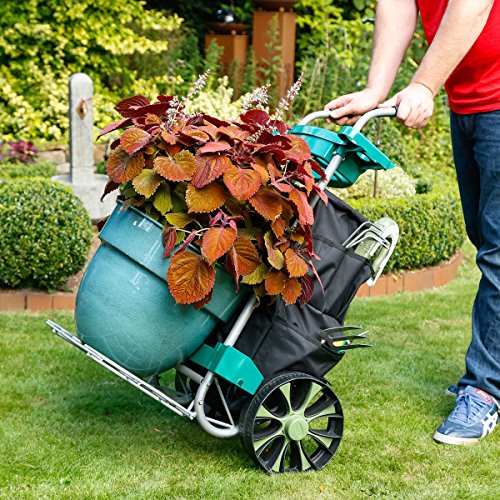 Garten- und Geräte-Trolley - 2