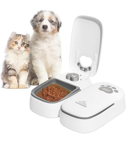 2 Confezioni Ghiaccio Per Distributore Automatico Cibo Gatti - 10x10x1cm, Mantiene Fresco