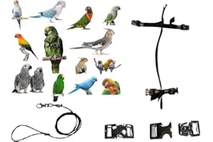 BLUSUPERSHOP PETTORINA NERA PAPPAGALLI regolabile MISURA da cocorite ad amazzone 3mm elastica E nastro 10mm, 2 attacchi METALLO GUINZAGLIO 3mm nero 1M (NERA)