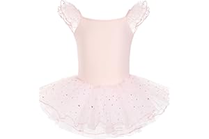HIPPOSEUS Fille Robe de Ballet Danse Tutu Justaucorps de Ballet Danse Gymnastique Enfants Manches Courtes, Y-04WDM