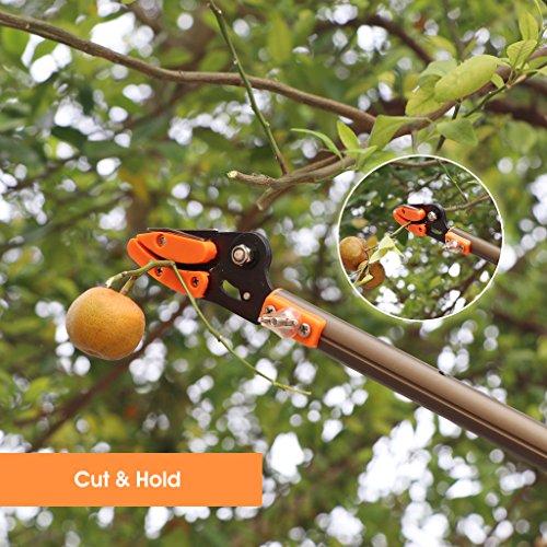 Finether Teleskop-Schneidgiraffe Teleskopschere Teleskop-Schere mit Säge Teichschere Baumschere Baumbeschneider Astschere für frische Äste und Zweige, Antihaftbeschichtet, Stahlklinge/Aluminiumstiel, Länge 1,4 – 3,1 m, orange/ champagnergelb Leichtgewicht 1.1kg - 2