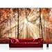 Produktbild Vlies Fototapete 312x219cm PREMIUM PLUS Wand Foto Tapete Wand Bild Vliestapete - Wald Tapete Laubwald Herbst Sonnenaufgang Laub rot - no. 3341