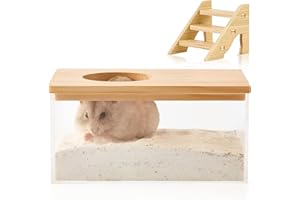 GENCAM Sandbad Container für Hamster mit Leiter Haustier Transparenter Acryl Duschraum, Hamster Badehaus für Eichhörnchen Kaninchen Ratte