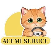 Parti Tasarla Acemi S&uuml;r&uuml;c&uuml; Sevimli Kedi Araba Etiketi &amp; Sticker &Ccedil;ok Renkli