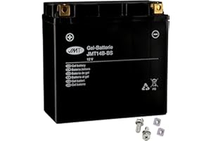 UNBEKANNT YT14B-BS Gel Batterie für XVS 1100 A Drag Star Classic Baujahr 2000-2007 von JMT