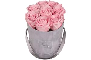 Emmie Gray Classic Infinity ROSENBOX | Velvet Gray | Runde Flowerbox - Infinity Rosen in Grauer Samtbox - 1-3 Jahre Haltbarkeit - Echte Rosen, die jahrelang blühen - Haltbare Rosen (S, Bridal Pink)