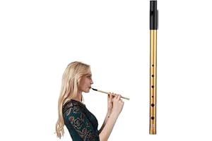 HEIZHU Irish Tin Whistle D,Whistles,Premium Six-Hole Penny Slide Whistles,for Wind Instrument Beginners Intermediate and Expert Band Performances(Gold)