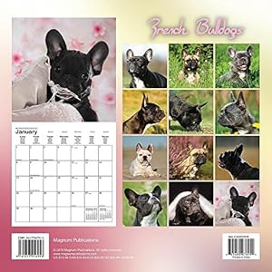 French Bulldogs Calendrier 2017