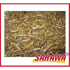 SAHAWA® getrocknete Heuschrecken, Reptilienfutter, Nagerfutter, Igelfutter (500 ml)
