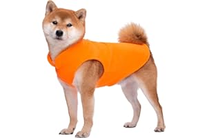 BT BEAR Hundepullover / Hunde-Sweatshirt, weiche Fleece-Weste, Kaltwetterjacke mit Ring für die Leine für kleine und mittelgroße Hunde (Größe S, Orange)