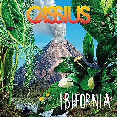 INTERSCOPE Ibifornia [Import allemand]