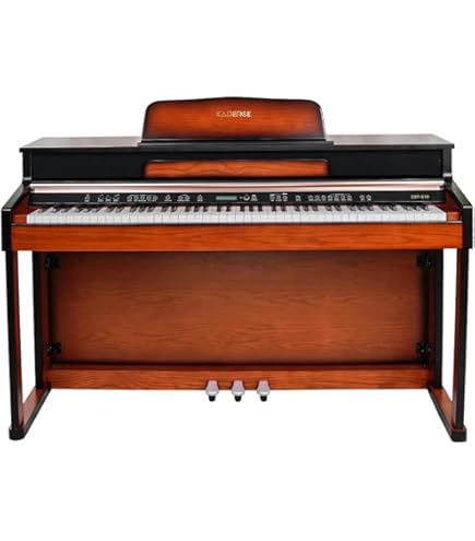 送料無料 電子ピアノ CASIO PX-130 88鍵 Casio Privia PX-130 88-Key Digital Stage Piano : Amazon.in