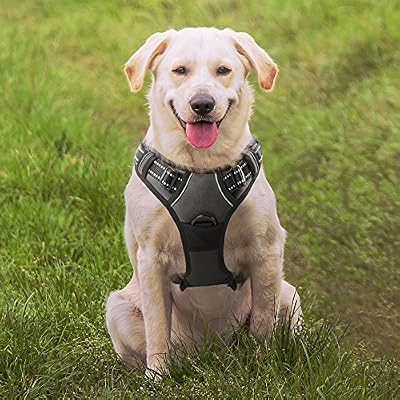 Eagloo Harnais Chien Réglable Ceinture 3M Bandes Réfléchissantes Encore Plus Sécurité Confortable Gilet Chien Oxford Matériau Respirante Durable avec Poignée Solide Trois Couleur Quatre Différentes Tailles Noir Taille L