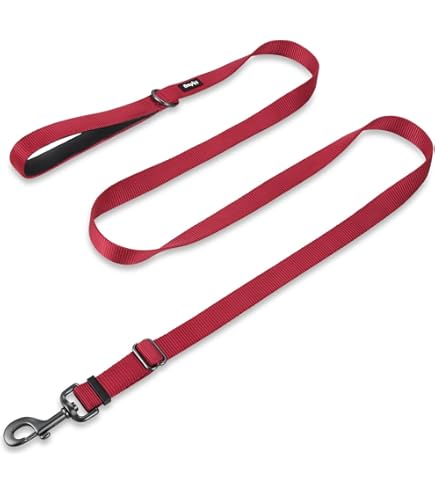 Hyhug Pets Hoogwaardige en robuuste nylon Martingale-halsband die ontsnappen tegengaat voor grote honden, comfortabel en veilig - professionele training, dagelijks gebruik tijdens het wandelen (Large