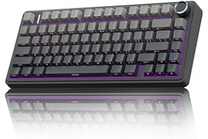 ‎AULA AULA F75 PRO Mechanische Tastatur Gaming,2.4GHz/Type-C/BT5.0 Mechanical Keyboard,Seitlich Graviert,Fünfschichtige Polsterung Struktur,QWERTY,Hot-Swap Kabellos Gaming Tastatur 75 Prozent (Grau)