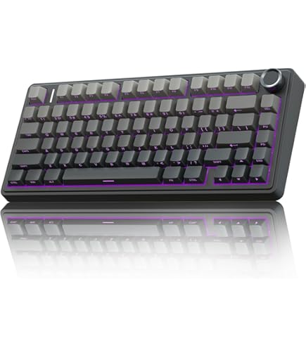 REALFORCE R2 PFU Limited Edition (Black/45g/TKL) - Topre