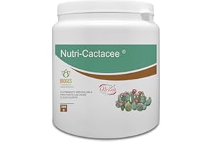 Bioges Nutri Cactacee 0,5 kg concime per Piante grasse