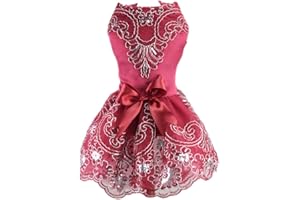 DELIFUR Abito da Sposa in Pizzo per Cani Gonna Tutù Cucciolo di Gatto Abito da Principessa Floreale Costume da Festa di Compleanno per Animali Domestici per la Primavera Estate(Red,M)