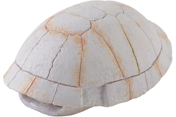 Exo Terra Tortoise Skeleton Décoration pour Reptile/Amphibien Taille S
