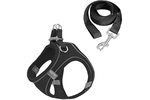 Kattselar med Koppel, Mesh-väst med Reflexremsor, stöder små, medelstora och stora rasvalpar/katter, Flera Färger, Storlekar XXXS-L (Black, M)