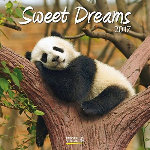 Sweet Dreams 2017: Broschürenkalender mit Ferienterminen