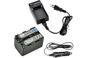 DSTE Ersatz Batterie NP-QM71D NP-QM71 NP-FM70 + Reise Ladegerät Kit für Sony CCD-TRV107,CCD-TRV108,CCD-TRV118,CCD-TRV128,CCD-TRV138,CCD-TRV150,CCD-TRV228,CCD-TRV250,CCD-TRV270,CCD-TRV285 Kamera
