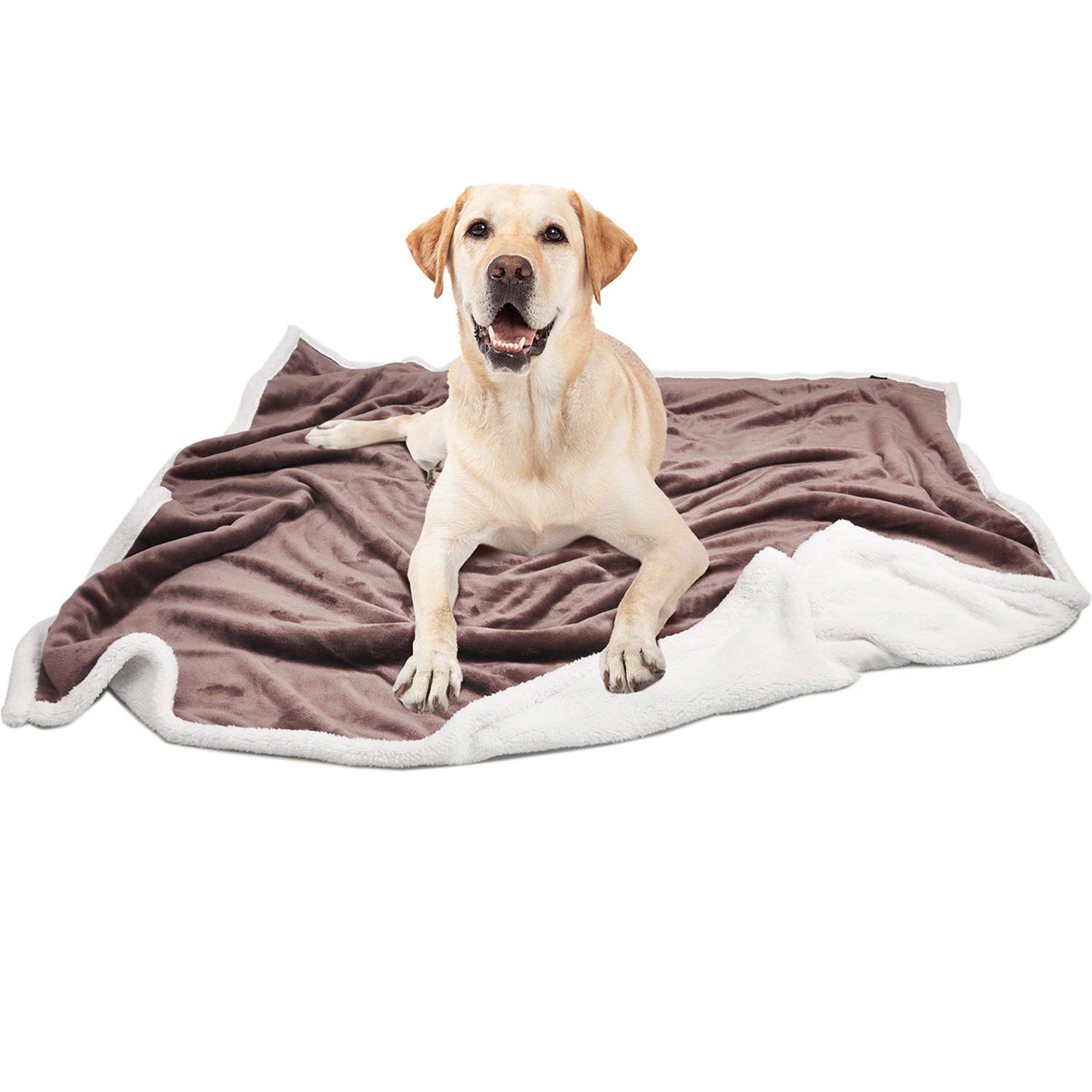 puppy fleece blanket
