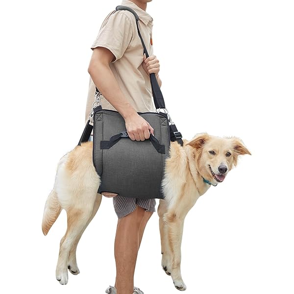 Yuragim Draaghulp voor honden, draagbaar hondenharnas, trap, verstelbare draaghulp, harnas voor achterpoten, heupsteun met handgrepen, veiligheidsondersteuning voor gehandicapte, gewonde honden