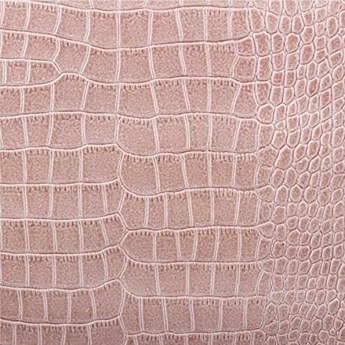 MacBook Pro 15“ Tasche | passend für 14.0 bis 15.6 Zoll Laptops | Caiman Optik champagner | iCues Piquante Etui | weitere Leder-Imitat – und Farbvarianten verfügbar | universelle Schutz-Hülle mit Geschenk-Box - 9