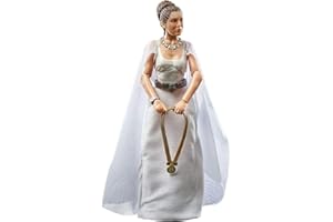 HASBRO Kenner Star Wars Princess Leia Organa (Yavin 4), Coloured (F12645L0)
