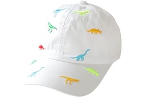 HERUAI Cappellino da Baseball per Bambini e Bambine, con Ricamo a Forma di Dinosauro, Regolabile, in Cotone, con Protezione UV, per L'Estate, l'autunno, i Bambini, per 2-6 Anni