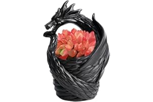 DISPRA Drachen-Blumenvase, dekorative Drachenform-Vasendekoration, Harz, mittleres Fassungsvermögen, Bauernhaus-Dekovase, kreativer Sukkulenten-Blumentopf, Drachenvase, dekorative Vase für Heimdekoration, Ti