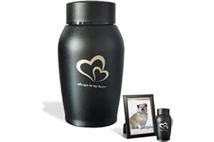 QESSUVNC Ashes Keepsake Urns - Small, Stainless Steel, Waterproof Cat & Dog Urns