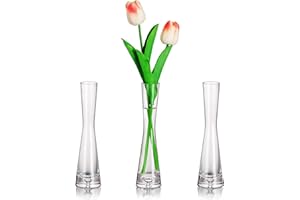 Glasseam Blumenvase Modern Glasvasen Schmal: 3er 20cm Hoch Blomus Vase Glas Set Handmade Schmale Vasen Tischdeko Wohnzimmer Esstisch Tulpenvase Dekovase für Pampasgras Tulpen Rose Hochzeit Deko