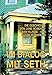 IM DIALOG MIT SETH - Band 2: Die Geschichte von Jane Roberts' ASW-Klasse by Susan M. Watkins